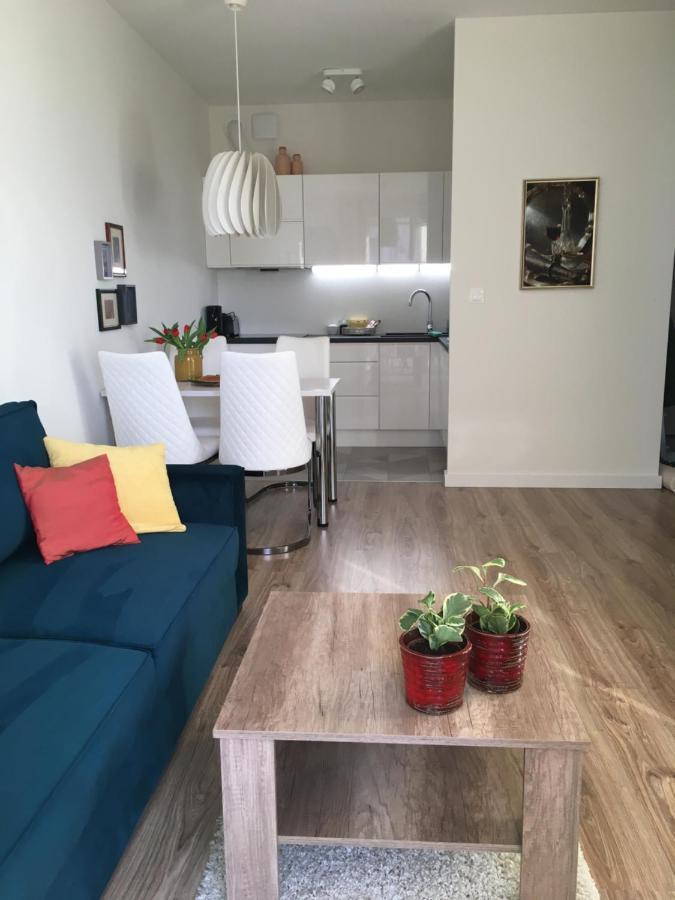 Swing Apartment Szczecin Luaran gambar